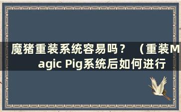 魔猪重装系统容易吗？ （重装Magic Pig系统后如何进行PE设置）